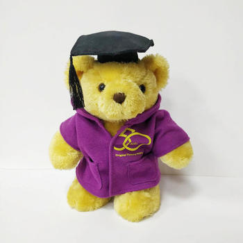PhD Graduation Teddy Bear